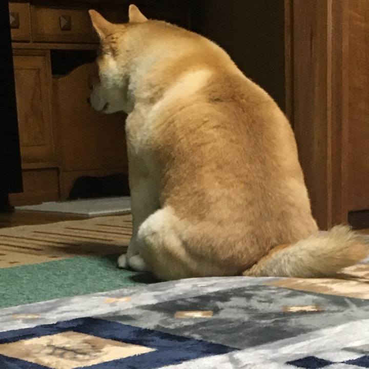 A3a5d258 74e4 470b 8d92 a10597a07cdb 1583659320815