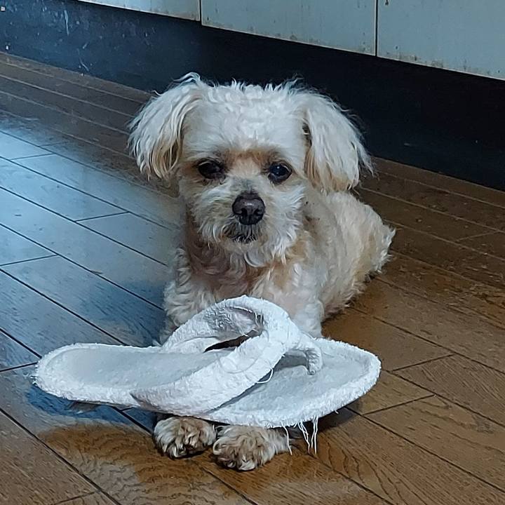 A3a6324d 7502 4b7f 841a 31ef1172e687 1751787957232