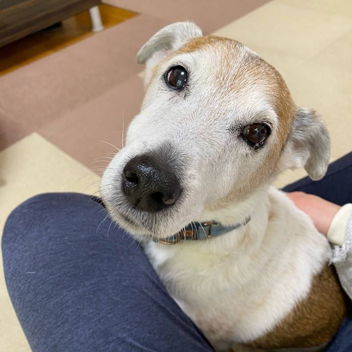 A3a64872 aeb8 4e55 a865 4f5df8e23f6b 1645926462618