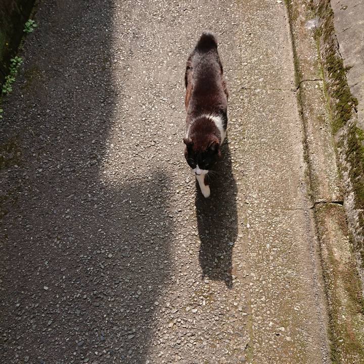 A3a64e73 ff6e 4030 9092 d1c0e8549c70 1684764566449