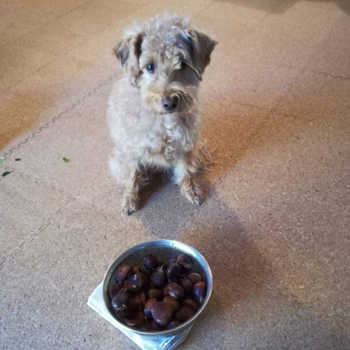 A3a67d87 7386 4e95 8210 6e12770a6bf7 1571611149489