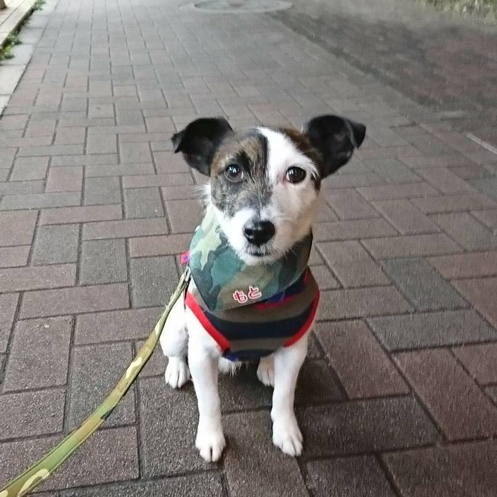 A3a69d09 49e3 4646 904e 3c2201359826 1523968595909