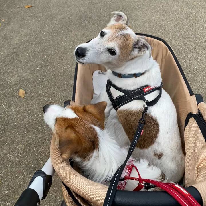 A3a6a682 52fb 4c2c aea2 4a123aa75bd6 1632119315572