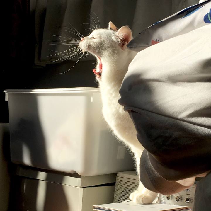 A3a6a6e1 a259 42ad 9280 38431bb79b3c 1545957131652