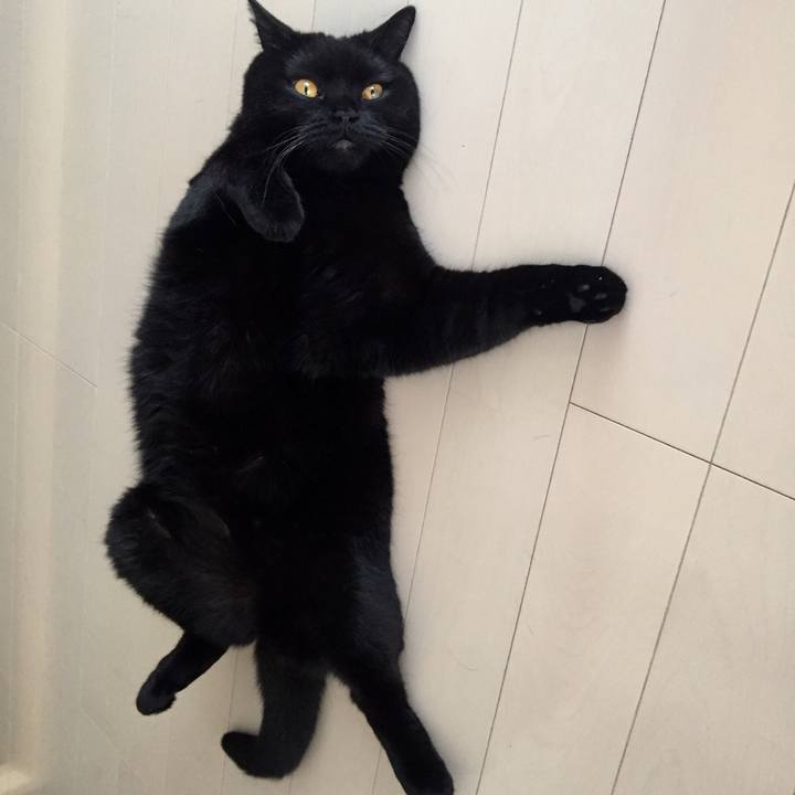 A3a6f4e2 05ed 4ada 8dec 16924809601e 1596184214204