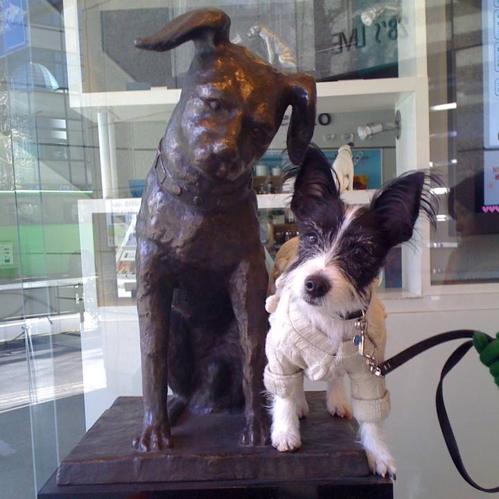 A3a74ec8 98f3 4fd9 989f 03e32e97b218 1591369552105