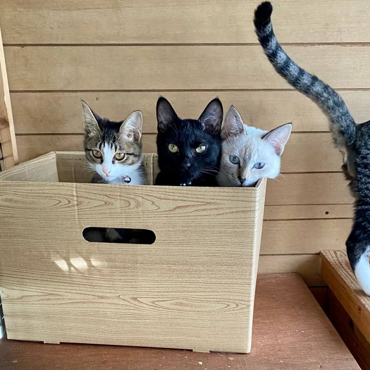 A3a75875 c7b9 4e2d b547 f5399c201db7 1635123683117