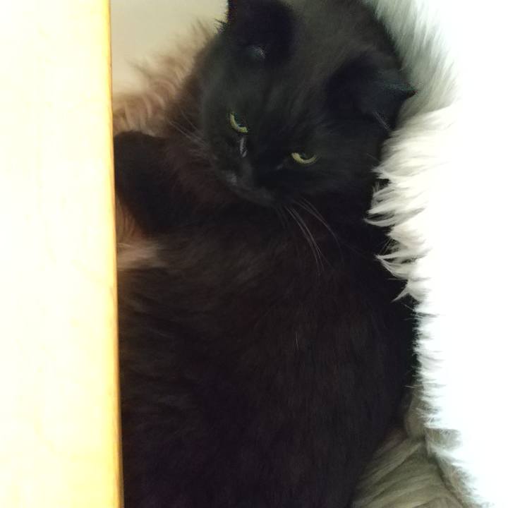 A3a76fde 1d49 4b73 8bb9 ff3149afc0d2 1653519988925