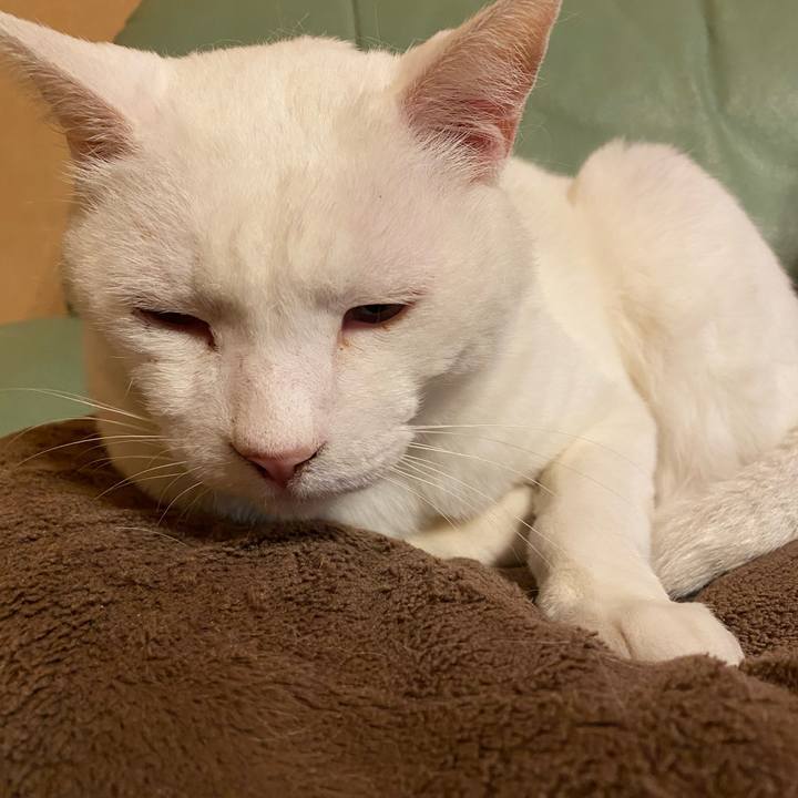 A3a7ba84 19f1 43e9 ba9e c006b36c7ca5 1650186715945