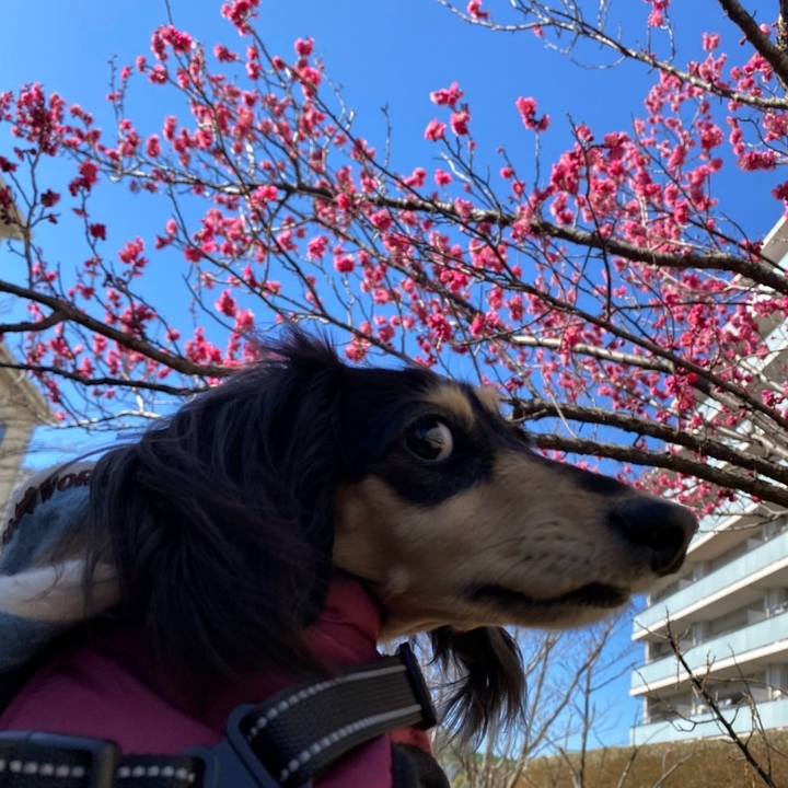 A3a7efff 320e 4733 9f97 13584ac7c0ea 1740291132367