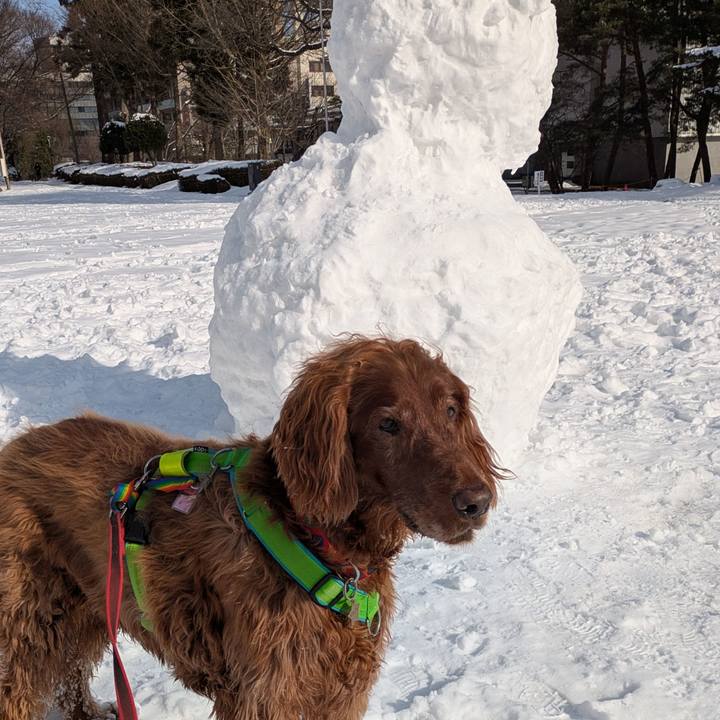 A3a823d5 f28b 4a90 a58b 7a94d677c93b 1768731175512