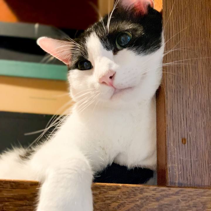 A3a835fc ae6e 44de 8189 787a8833fe83 1539049021905