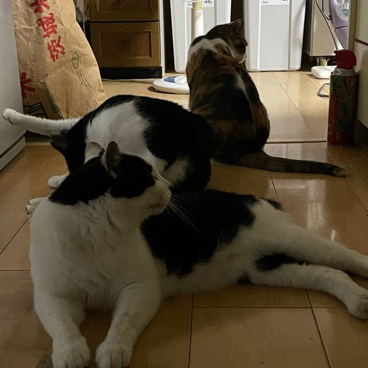 A3a8378c 277a 493b 8d05 d957931d7046 1726420161464