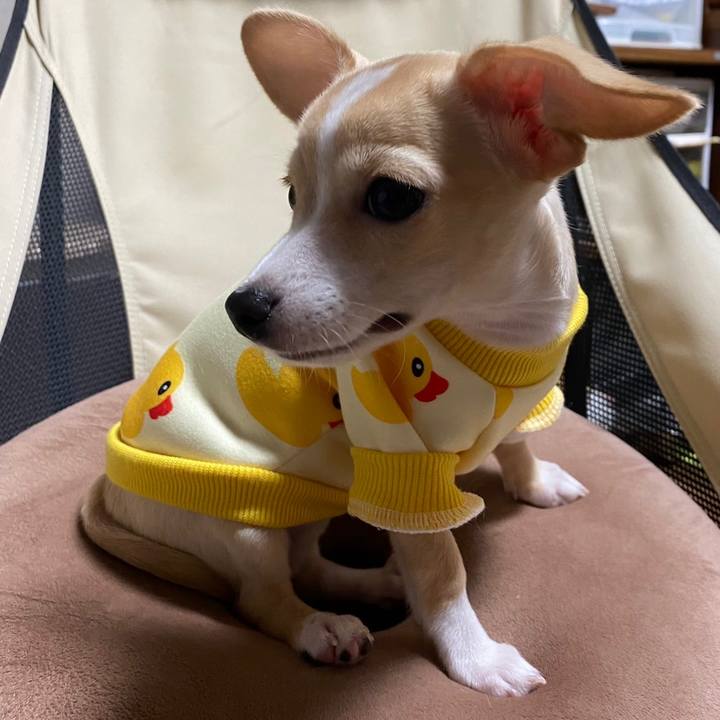 A3a8411c 4e50 4f3f 9318 fb8cabb890a4 1663587459713