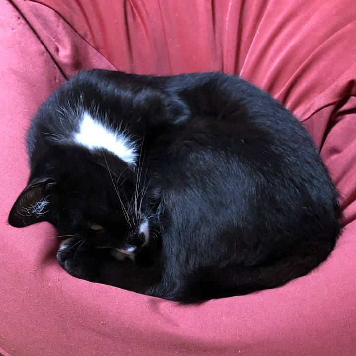 A3a84f0a 46f9 4214 8873 b24910445097 1596685780795