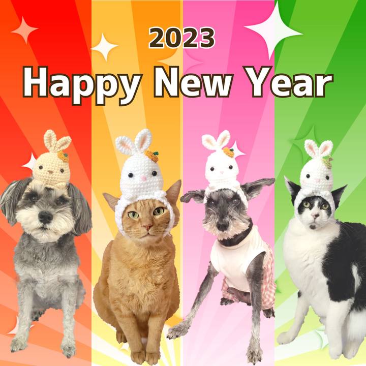 A3a857fb 3eaa 4019 afee 1dde826cdb96 1672534068720