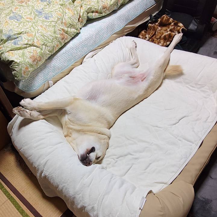 A3a89e5c 3ab3 4d29 b70a bd6b92d859dd 1730874999513