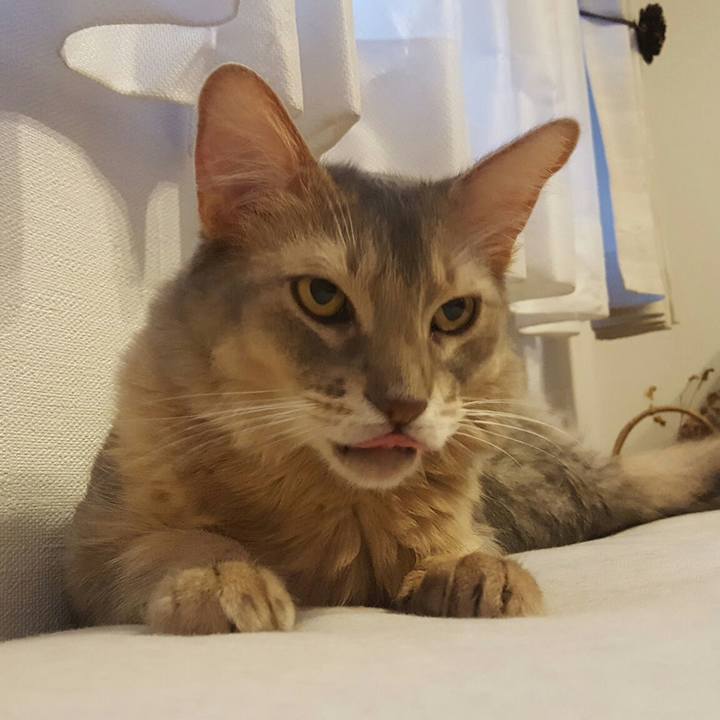 A3a8adf0 44fa 4152 a480 d4ee8acf2dca 1561283340562