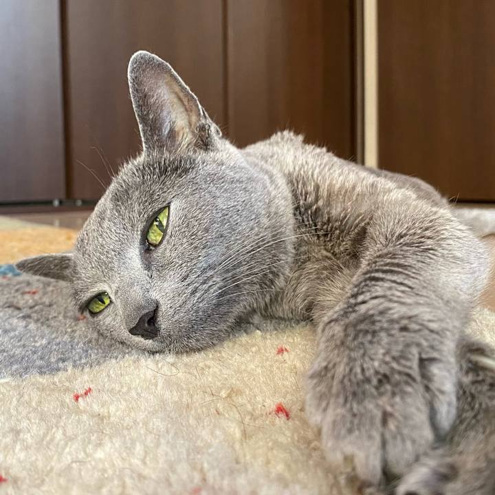 A3a8c40e a748 4850 9286 2c39bb5b34a2 1626598045332