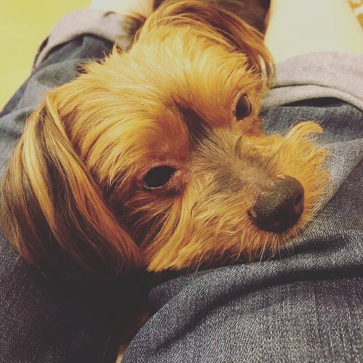 A3a949e5 773d 473c b01b 7c2d519a25b3 1527761965340