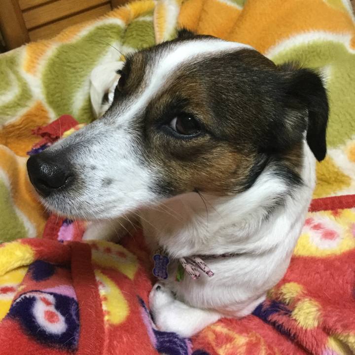 A3a97def bdec 4814 9c1e 37b5c97bed21 1549430386773