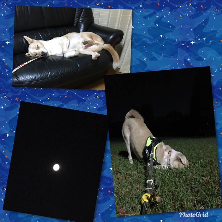 A3a9f54e 91e0 436c b0e3 8d3f3482b45d 1539875232943