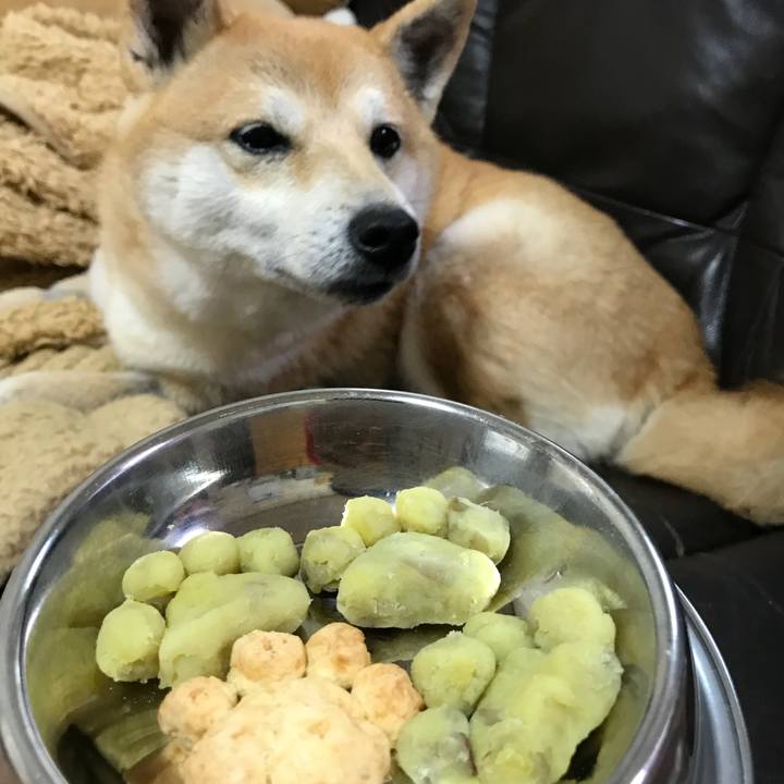 A3aa25a4 1463 4266 ab78 f12dccad69df 1514278221862