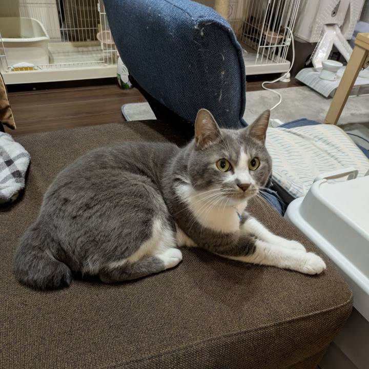 A3aa4432 9195 49e5 b9cd 082f47e74edf 1751716416856