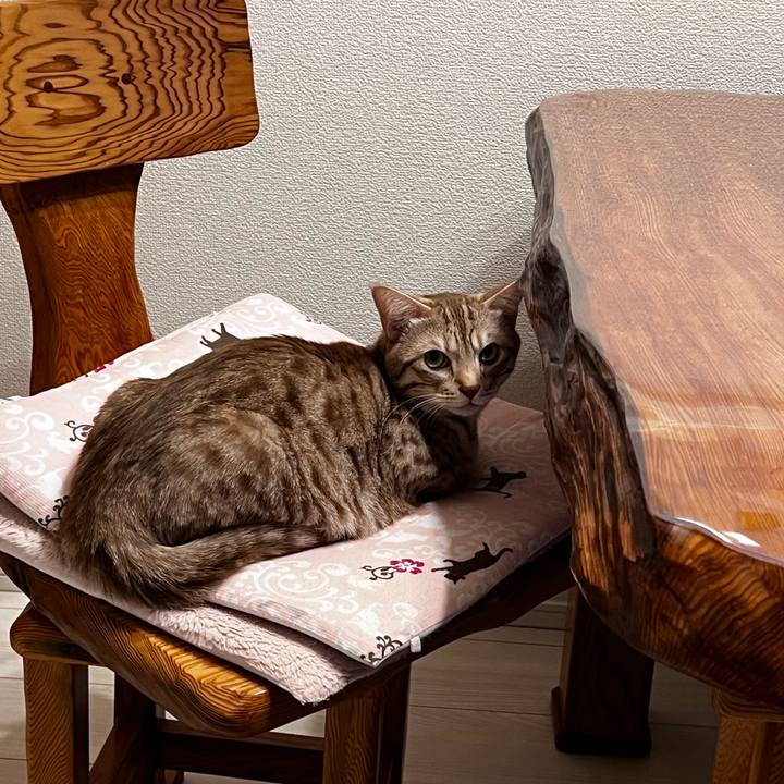 A3aa54fa 0c66 456d a187 2afe2b71d3e7 1697113509470