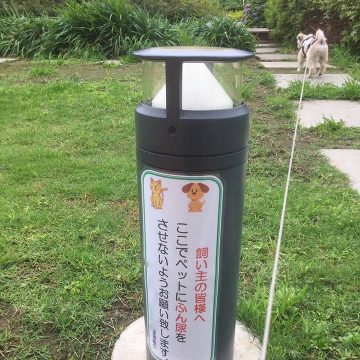 A3aa9af0 53de 43de b5de 292d3d9a6d56 1559984772470