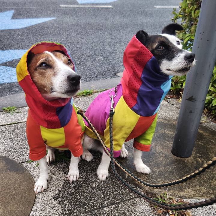 A3aaedc3 6e95 49cf b781 972efd005cd3 1748902780741