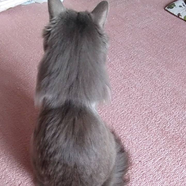 A3ab1970 6999 4ee3 9942 c1efcfd3acec 1649917165142