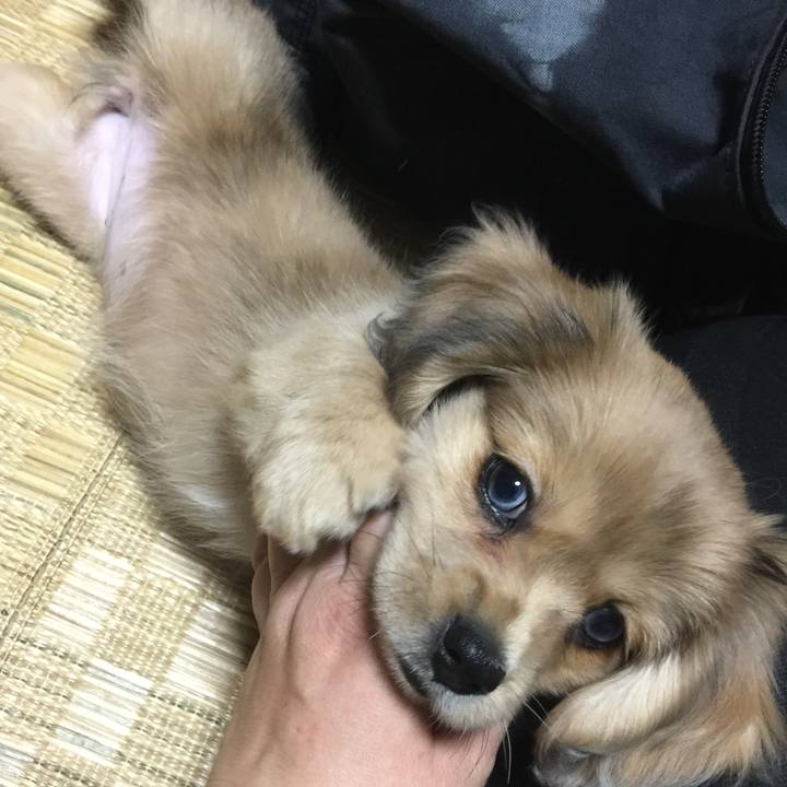 A3ab37c2 f801 4209 96e8 ac7230e62370 1618008720682