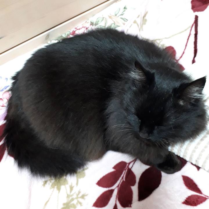 A3ab4181 fa4a 4215 97b9 fb1fcd8a773a 1523188793833