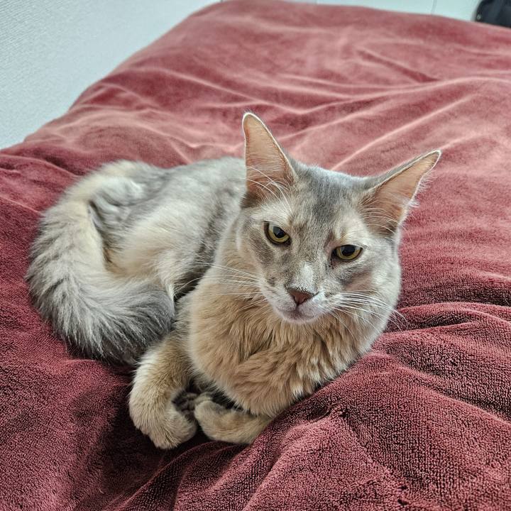 A3ab49b0 ffdc 4cab ab41 359d71ecb818 1703157233347