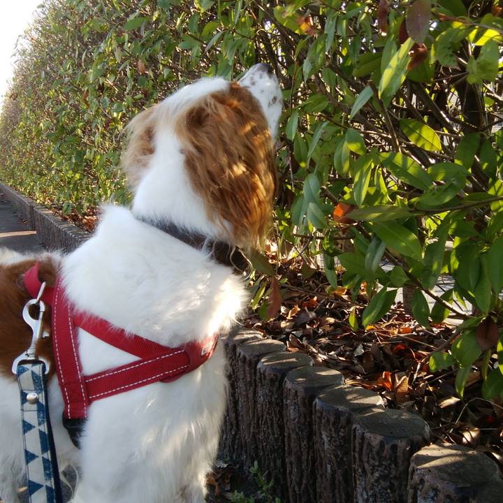 A3ab49d0 a839 4adb a7af 64ea1b62b6b5 1531659063455