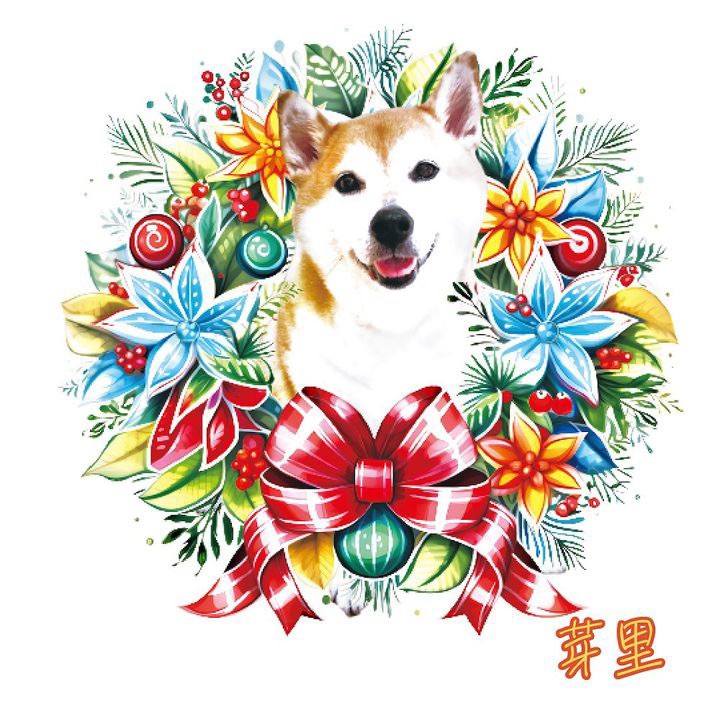 A3ab67e7 9e69 401d af52 3263c969f76f 1698460794704