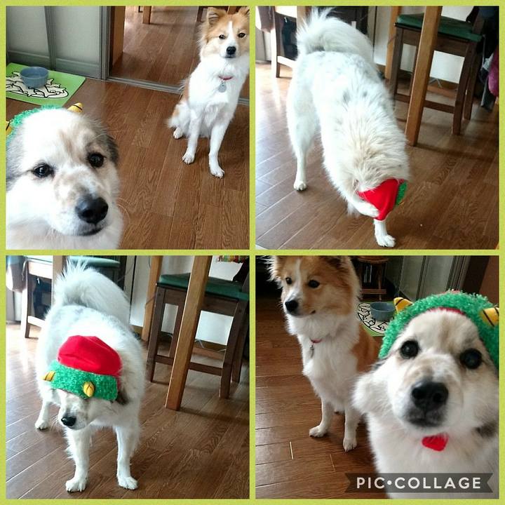 A3ab8f4b 8a10 415a abf9 2d67fd436e61 1517738319158