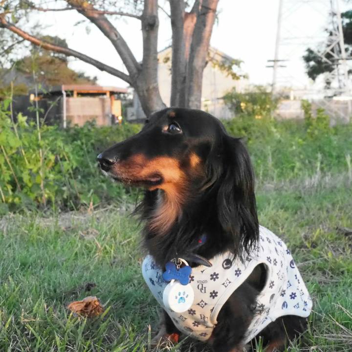 A3abb1c9 1ae8 49e9 85b0 e6b091cc286f 1539660044341