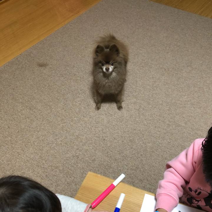 A3abc2ca 0df7 42db bbbd a7a62ad269d8 1582694593235