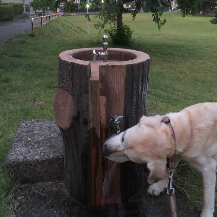 A3abd5c7 de21 49b7 ba42 f4fa57cb213b 1532172861313