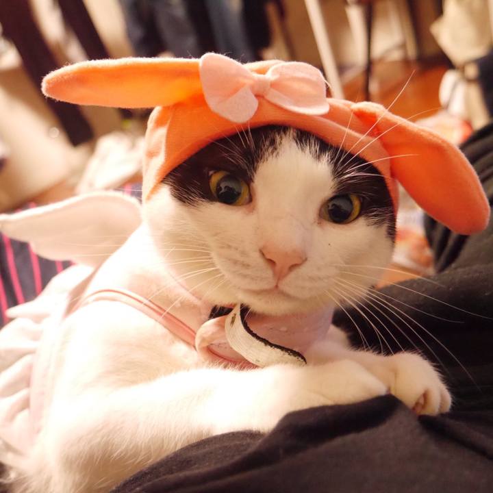 A3abfcdd 7ea8 4251 984d 131d3cb5772d 1516059693649