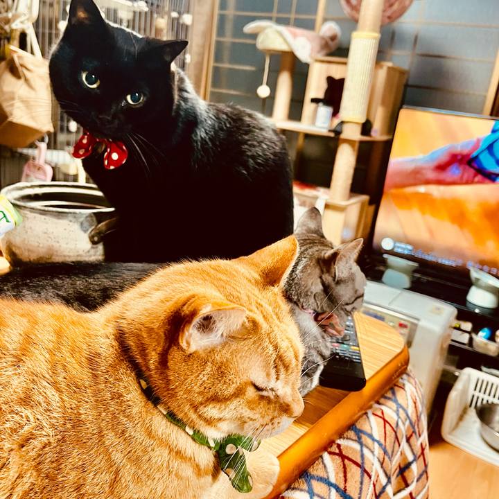 A3ac2f08 2ea9 4011 b2fc 91fb38cd2dc8 1764620704897