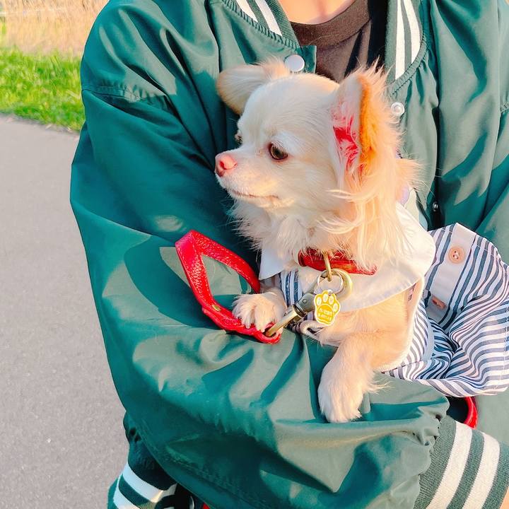 A3ac315c 1dff 4448 98ad 962575163823 1649416151158