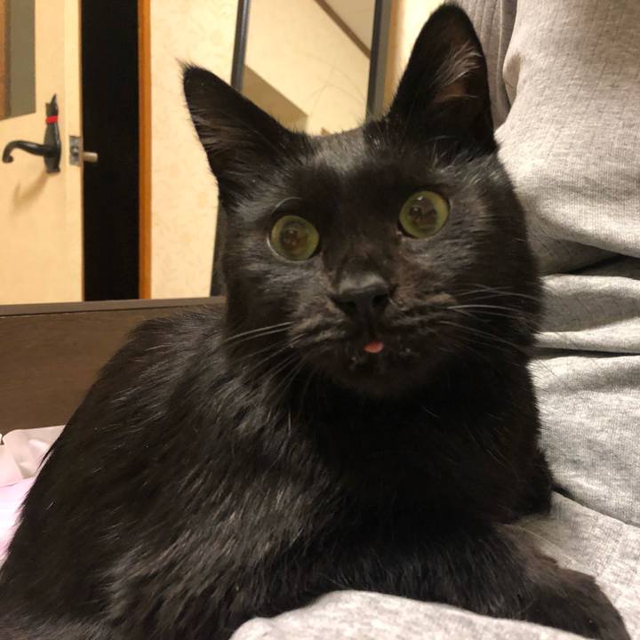 A3ac42b6 7ac9 4c95 a9f0 eba21c3d644d 1574945046014