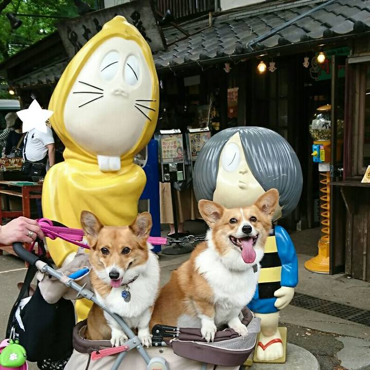 A3ac5b79 758c 4259 ba83 a40c7f375b6c 1525243638145