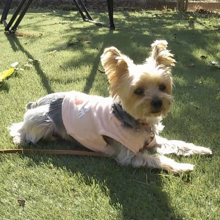 A3ac73ff 2caa 4eb2 95e7 c3eebd2a7b38 1699702941187