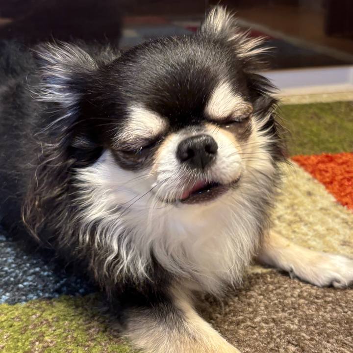 A3ac7764 b1b3 4403 a374 8852f0c475bd 1759077390184