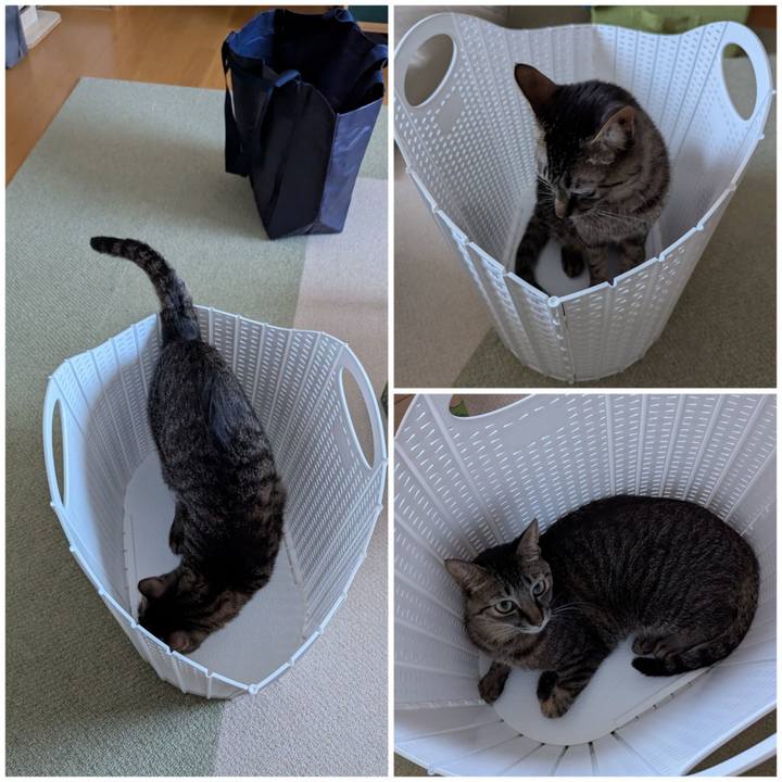 A3ac96bf 3a9b 4f24 8541 871737a3bea4 1754303396913