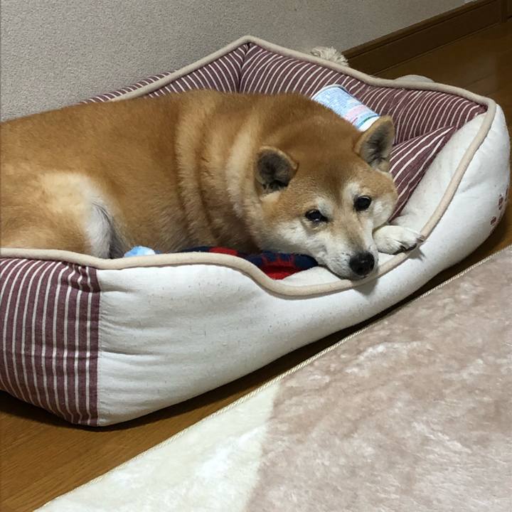 A3accae0 5b2b 4c99 82be 798f73274bf6 1548584862720